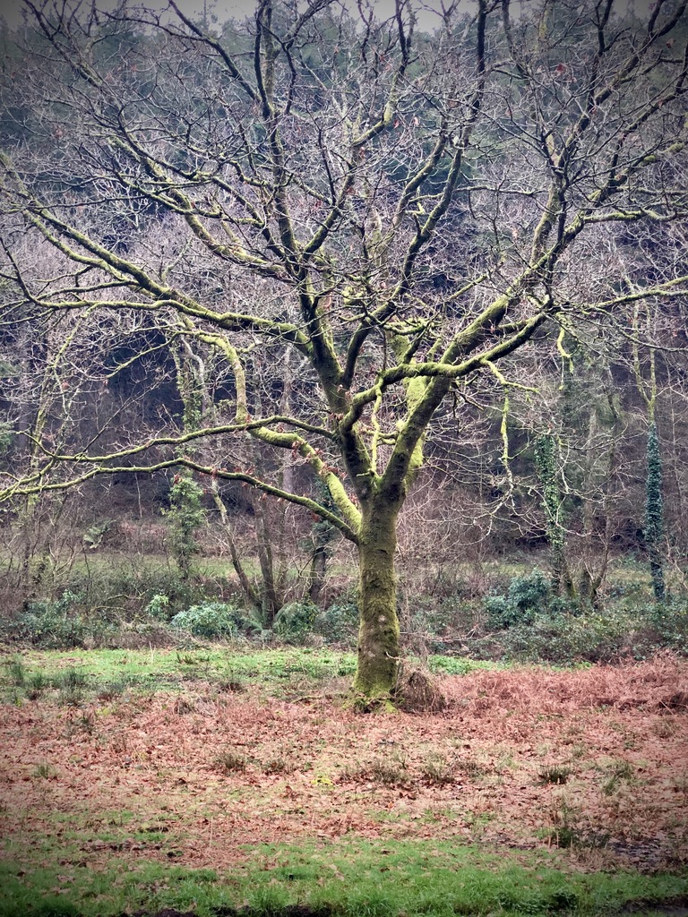 Stacks Image 16
