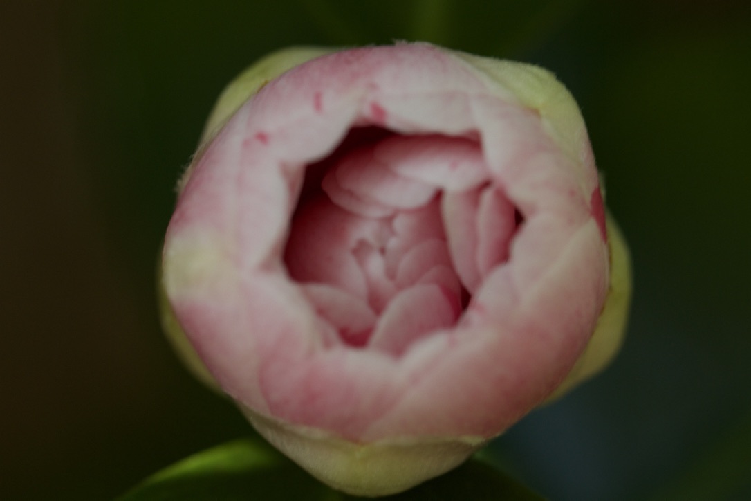 Stacks Image 80