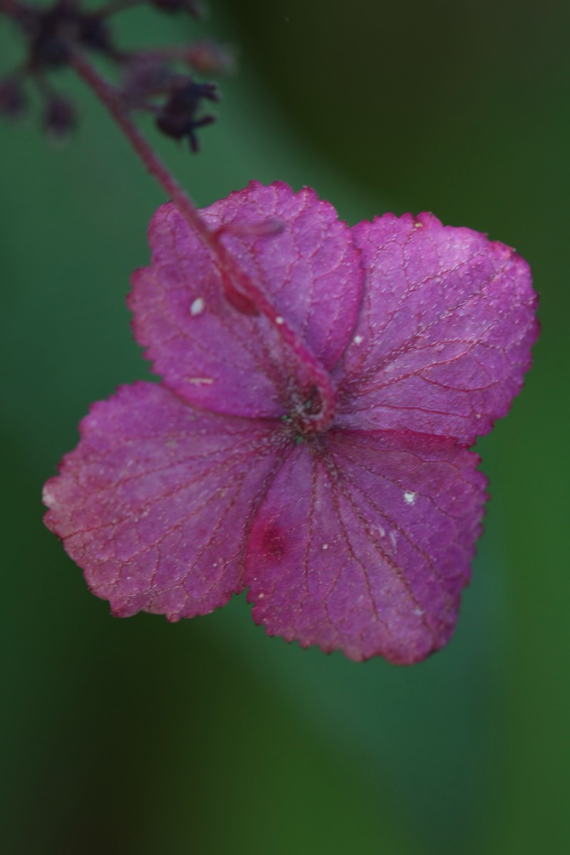 Stacks Image 62