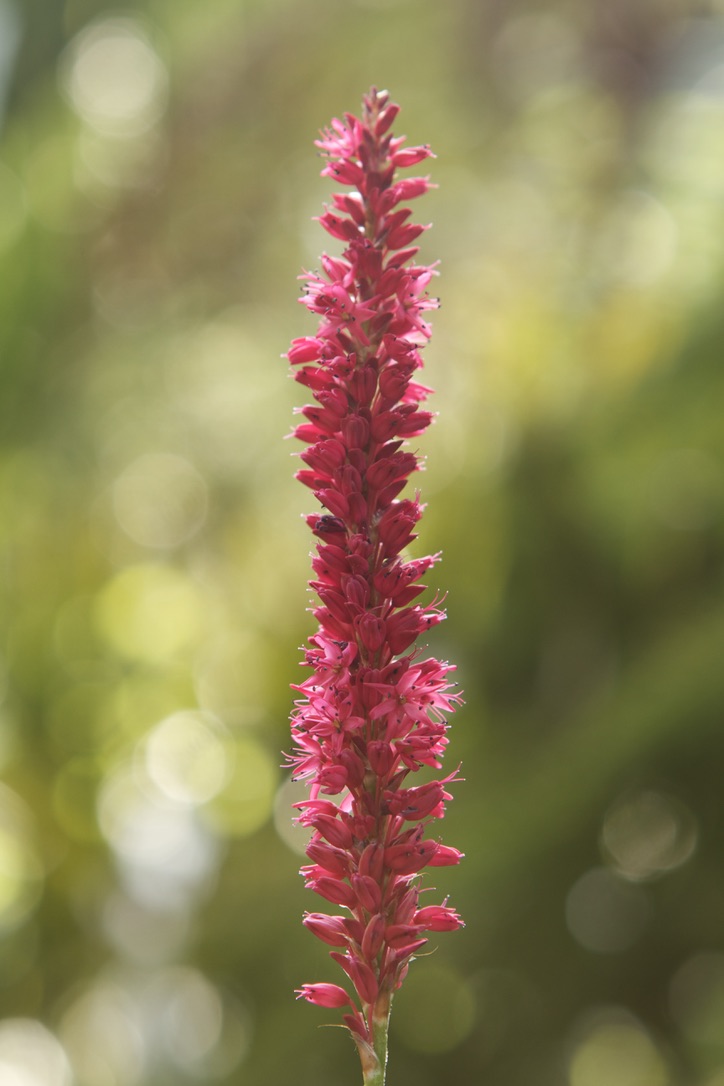 Stacks Image 60